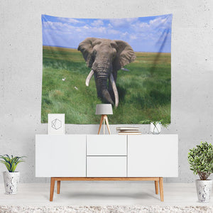 Elephant 11 Tapestry