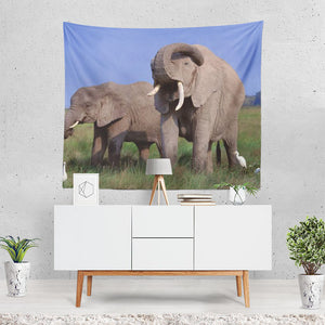 Elephant 12 1 Tapestry