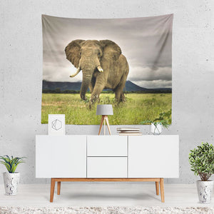 Elephant 1 Tapestry